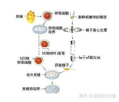 云南昆明三代試管助孕費(fèi)用貴不貴呢？三代試管懷孕費(fèi)用參考表！