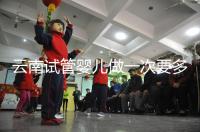 云南試管嬰兒做一次要多少錢?2024年助孕價格清單