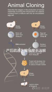 產后疏通乳腺按摩手法解密，不用吸奶器輕松搞定堵奶、奶結