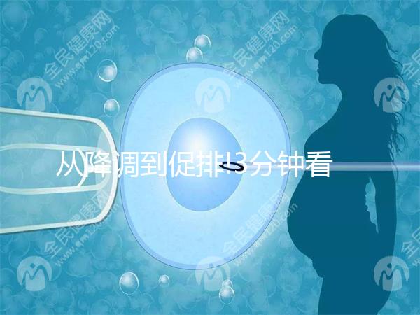 從降調到促排!3分鐘看完試管嬰兒長方案流程步驟