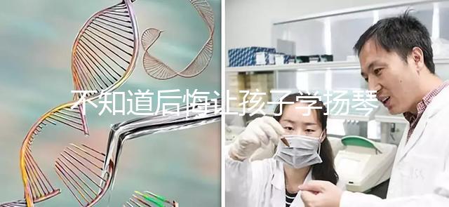 不知道后悔讓孩子學揚琴怎么辦看這，年齡是決定因素