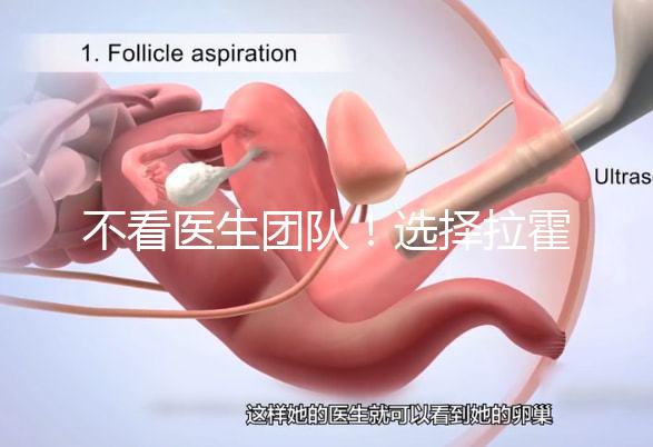 不看醫(yī)生團(tuán)隊(duì)！選擇拉霍亞試管嬰兒中心的優(yōu)勢(shì)還有這些