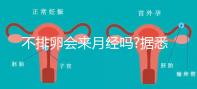 不排卵會來月經(jīng)嗎?據(jù)悉并不會推遲大姨媽的到來