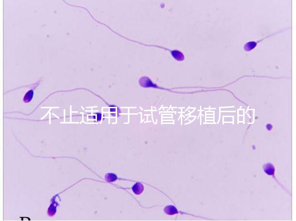 不止適用于試管移植后的胚胎著床,美卓樂的8大作用盤點