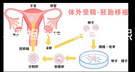 不要擔心十月結晶和曼熙哪個洗澡盆好，先知道怎么安裝