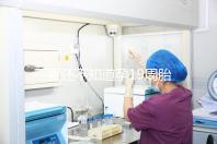 不要還不知道孕19周胎教音樂是怎么放的先聽聽有用嗎？