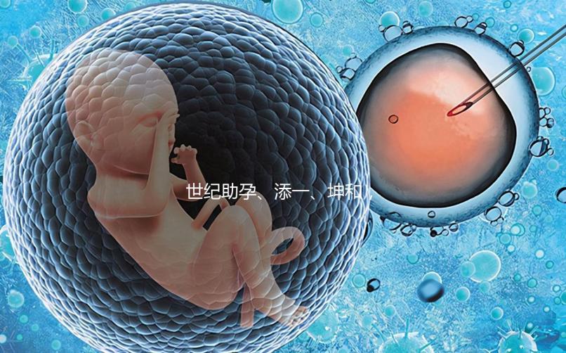 世紀助孕、添一、坤和，一起來看看上海助孕公司哪家好？