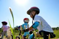 一代二代三代試管區別科普表演（一代二代三代試管什么區別）