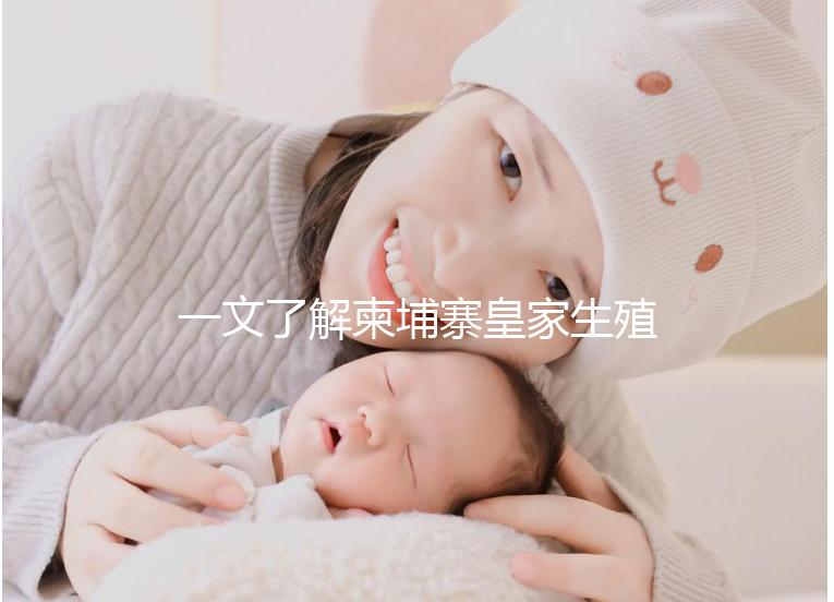 一文了解柬埔寨皇家生殖醫院：院長吳華林篇