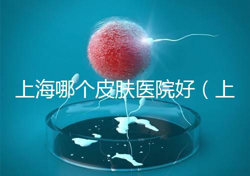 上海哪個皮膚醫(yī)院好（上海中醫(yī)皮膚科哪家好）