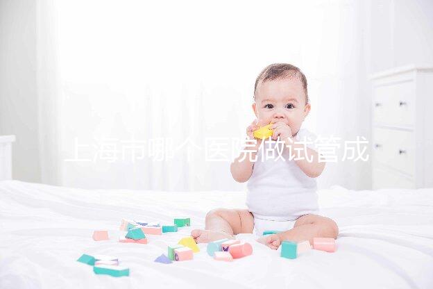 上海市哪個醫院做試管成功率高最好的？