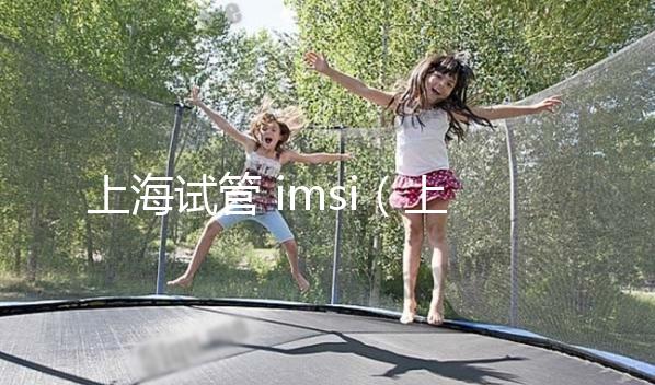 上海試管 imsi(上海試管醫(yī)保可以報銷多少)