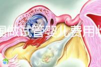 中國做試管嬰兒費(fèi)用收費(fèi)價(jià)目表一覽，包含具體成本預(yù)算