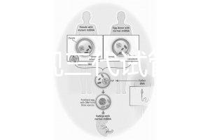 中國(guó)正規(guī)三代試管嬰兒機(jī)構(gòu)名單，2025生殖機(jī)構(gòu)排名參考