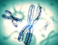 東莞做第三代試管嬰兒的醫(yī)院排名已經(jīng)公布來看看哪個離你近!