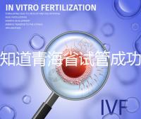 想知道青海省試管成功率多高看過來，助孕案例幫你揭開謎團