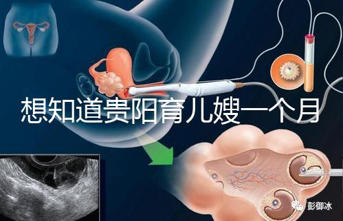 想知道貴陽育兒嫂一個月戳多少錢,云巖2萬夠不夠