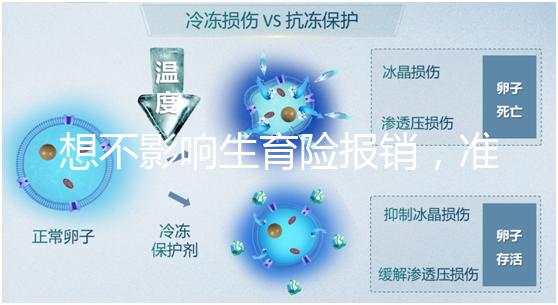 想不影響生育險報銷，準生證最晚得在這個時候辦！