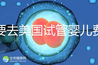 想要去美國試管嬰兒費用要花多少錢？2025年費用明細！