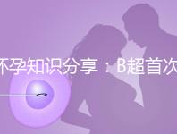 懷孕知識分享：B超首次揭示羊膜囊形成時(shí)間