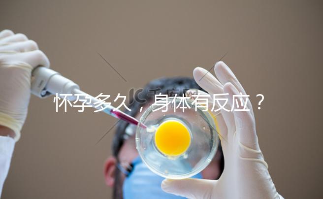 懷孕多久，身體有反應？