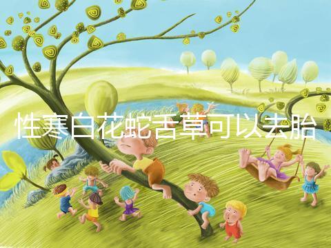 性寒白花蛇舌草可以去胎毒別亂吃！小心流產(chǎn)找上門