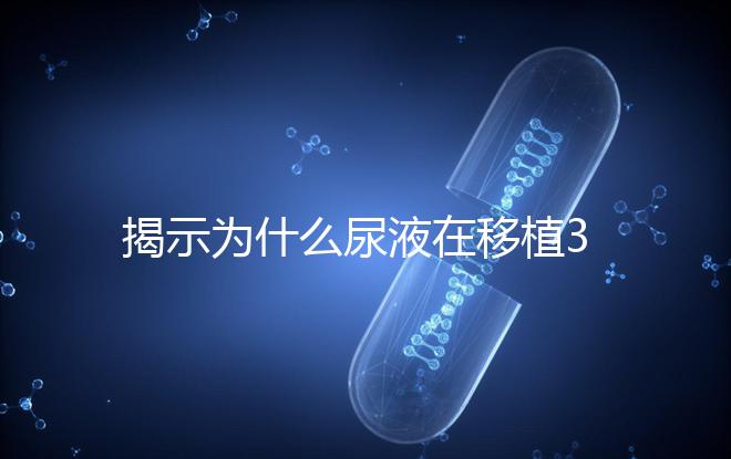 揭示為什么尿液在移植30天后需要稀釋才能測量,正常情況下不一目了然