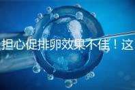 擔心促排卵效果不佳!這幾個“養卵”方法請收下