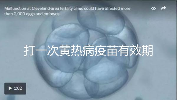 打一次黃熱病疫苗有效期限10年，提前注射時間是關鍵