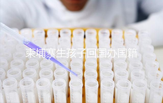 柬埔寨生孩子回國辦國籍方法、流程攻略，線上預約更省時
