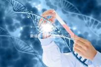 柬埔寨三代試管費(fèi)用公開，不同項(xiàng)目?jī)r(jià)格不同