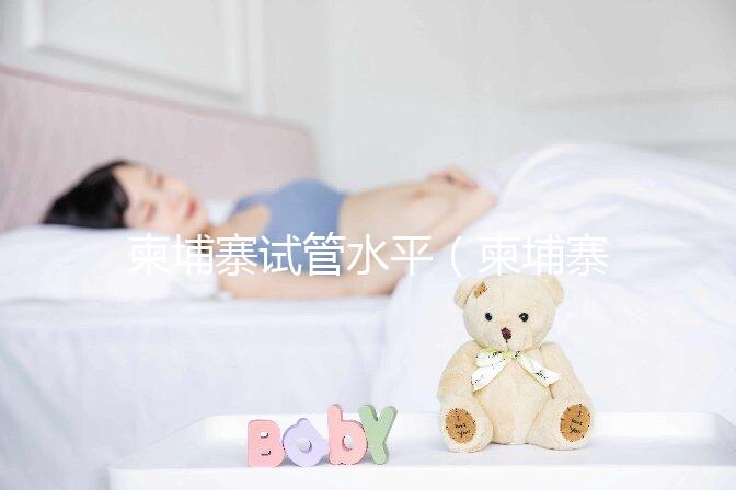 柬埔寨試管水平（柬埔寨試管水平怎么樣）