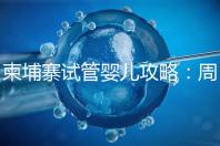 柬埔寨試管嬰兒攻略：周期和時間規劃全解析！