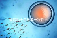 曼熙和十月結晶一次性內衣哪個好看就知道了，女生都來看