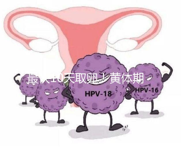 最快10天取卵！黃體期促排需要多長時間看這個指標