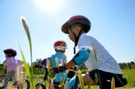 最近警惕戀愛（最近警惕戀愛的電視?。? /></div><dfn dir=