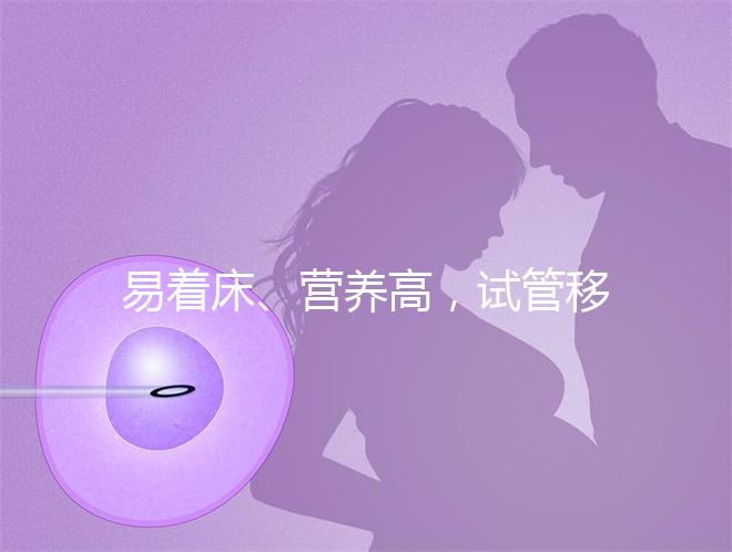 易著床、營(yíng)養(yǎng)高,試管移植后吃獼猴桃的好處你不知道!