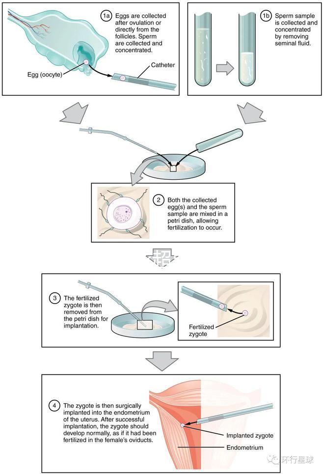 武漢四維彩超費用表整理，內(nèi)附市婦保院超全預約攻略