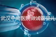武漢中南醫(yī)院做試管嬰兒需要多少錢:2025年這些試管收費(fèi)有變動(dòng)