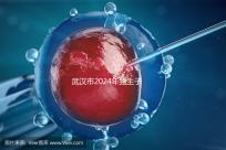 武漢市2024年獨(dú)生子女補(bǔ)貼政策已經(jīng)實(shí)施，領(lǐng)取流程更加規(guī)范