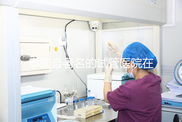 泰國最著名的試管醫(yī)院在哪里最好?推薦助孕機構(gòu)名單