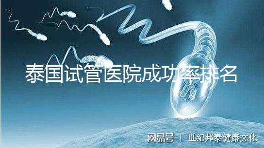 泰國試管醫院成功率排名公布，這些詳細介紹，為您提供選擇參考！