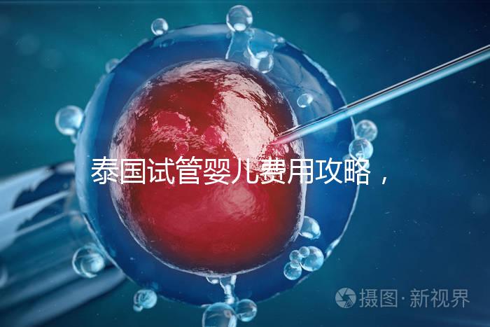 泰國試管嬰兒費用攻略，2025年詳細預算指南