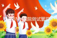 泰國(guó)BNH醫(yī)院做試管嬰兒到底怎么樣？包成功是真是假？