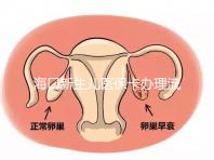 海口新生兒醫保卡辦理流程更新,附2024秀英、龍華區手續