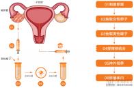 浙江生育登記在男方還是女方辦理，何時(shí)辦理全面分析，快速收集