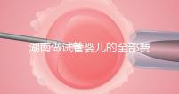 湖南做試管嬰兒的全部費用大概是多少錢?附湖南試管嬰兒醫院排名一覽!