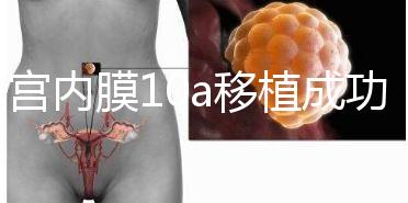 子宮內(nèi)膜10a移植成功率高別還不知道，放入鮮胚厚度剛剛好
