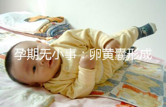 孕期無小事：卵黃囊形成到胎芽出現時間早了解早放心