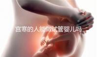 宮寒的人能做試管嬰兒嗎(有宮寒做試管能成功嗎)